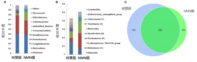 口服NMN使人类端粒长度加倍,从而NMN延缓衰老被证实插图4 NMN增加了小鼠肠道菌群优势菌种的丰度