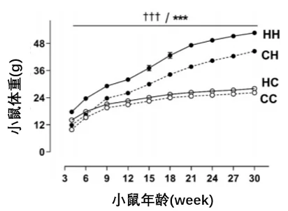 NMN可在三周内有效改善肥胖小鼠后代的代谢障碍|《Cells》研究插图4 母亲和幼鼠高脂饮食对小鼠体重的影响NMN