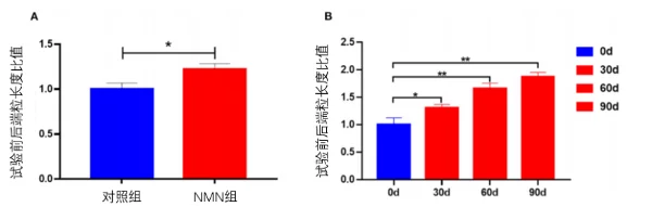 口服NMN使人类端粒长度加倍,从而NMN延缓衰老被证实插图6 NMN显著延长了小鼠和人类的端粒长度