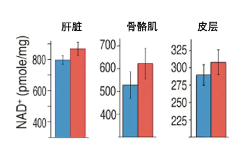 服用NMN可提高机体内NAD+水平,并有效减少衰老迹象插图1 补充NMN后各器官NAD+水平