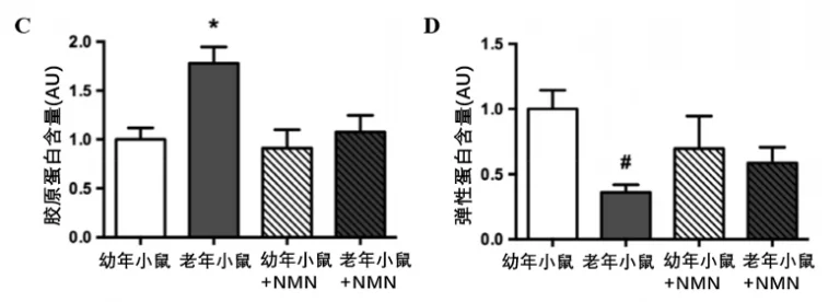 补充NMN可恢复血管的僵硬度