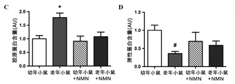 NMN可改善血管的内皮功能,补充NMN可恢复血管的僵硬度插图1 补充NMN可恢复血管的僵硬度