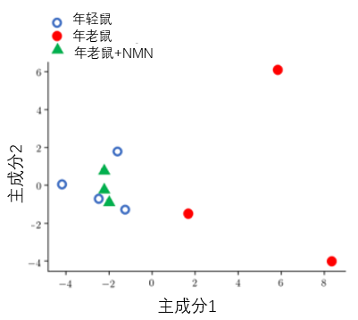 年轻小鼠、年老小鼠、经过NMN处理后年老小鼠中主动脉miRNA表达谱的主成分变化