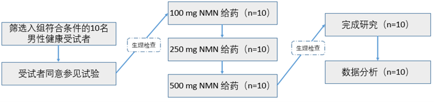 NMN临床试验设计
