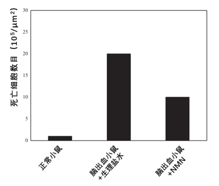 补充NMN可以降低死亡细胞数目
