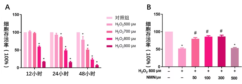 (A)H2O2处理12、24和48小时后的细胞存活率;(B)显示NMN可逆转有害负氧离子导致的细胞损害