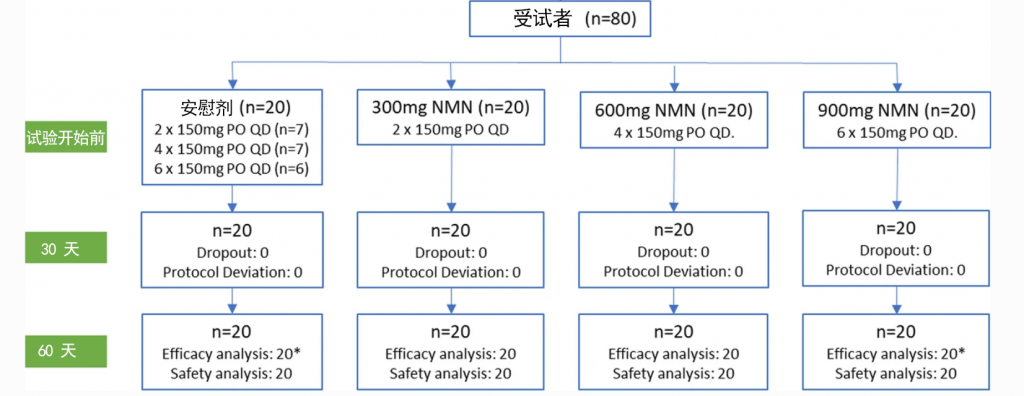 《老年科学》NMN人体临床实验_口服NMN剂量越大,NAD+水平越高,且无不良反应插图1 NMN实验设计详情