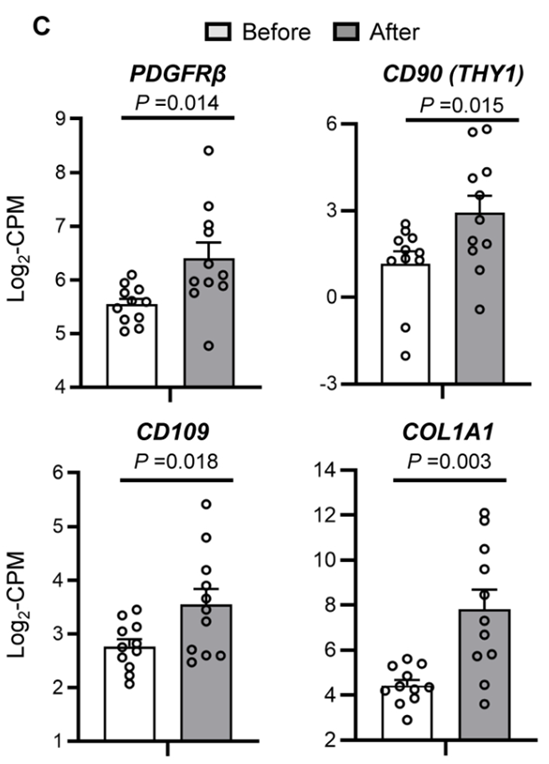 图2 补充NMN对骨骼肌胰岛素敏感性和信号传导的影响