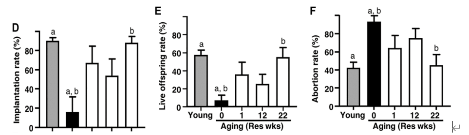 白藜芦醇可显著提升小鼠胚胎移植成功率、活胎率，并使流产率下降
