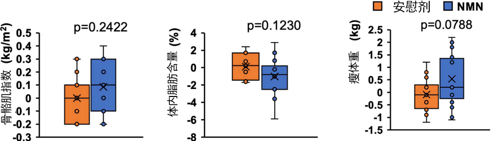 图2 NMN组和安慰剂组受试者的骨骼肌质量和脂肪含量对比